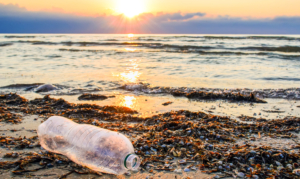 Foto av en plastflaske som har blitt skylt opp på en strand.